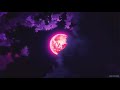Sheck Wes Mo Bamba Slowed Reverb