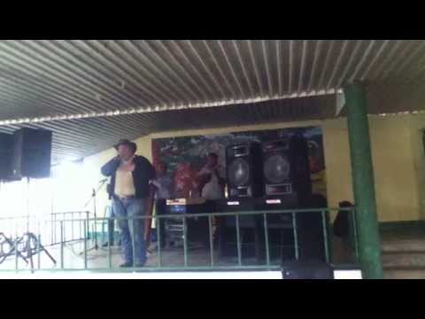 FG  Agonía - Luis Rojas (El Festivalero) (En Vivo)