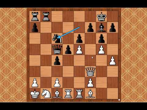 Velemajstorski napad put prema sigurnoj pobedi □ TERPUGOV vs PETROSIAN # 1706