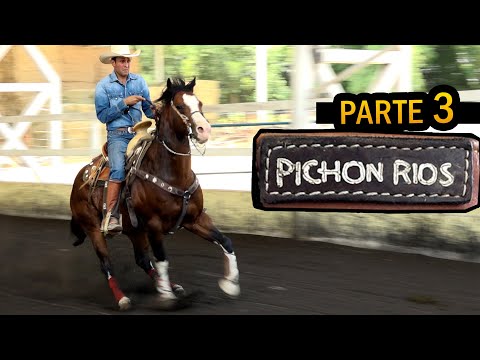 Mauricio Pichon Rios - Part 3 - The Importance of Understanding Between Horse and Rider