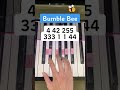 Bumble Bee Piano Tutorial TikTok
