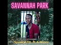 Savannah Park - SpeezyLTD Ft. A-Music