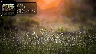 C5 - Sparks