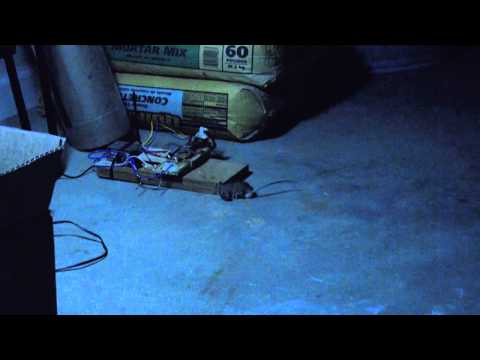Killer Electronic Mouse Trap - the shorter version