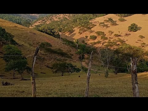 Estou em PALMEIRINA PERNAMBUCO (VISITANDO MEUS PAIS.)
