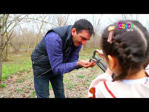 Su çərşənbəniz mübarək.