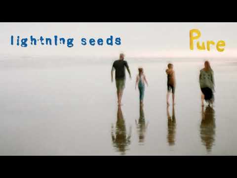 The Lightning Seeds - Pure