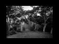 Darkwood- Weltenstuerme 
