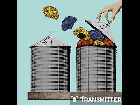 To make a meaningful contribution to neuroscience, fMRI must break out of its silo | Avram Holmes