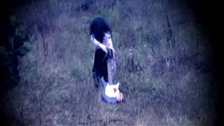 Zombified - &quot; Southern Culture on the Skids&quot;