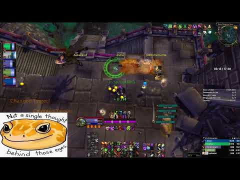 5:27 Siege of Niuzao CM (warlock pov)