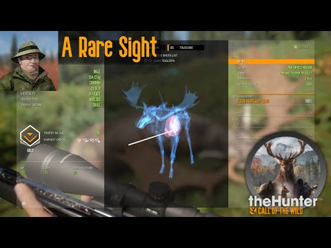 A Rare Sight theHunter Call of the Wild