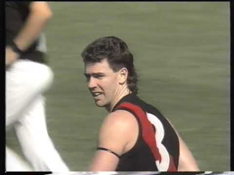 Preliminary Final Adelaide Crows VS Essendon 1993 Darren Bewick Michael Long