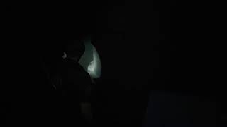 酔っ払いバイオRE:2