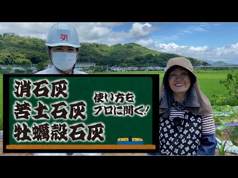 庭で生石灰をいつ使用するのですか?すべての用途の説明: 菜園、芝生、果樹  庭園