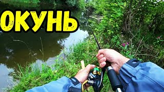Рыбалка в смоленской области река десна