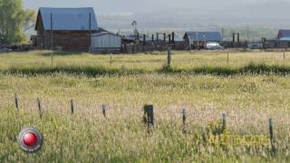 Red Digital Camera Footage 720p