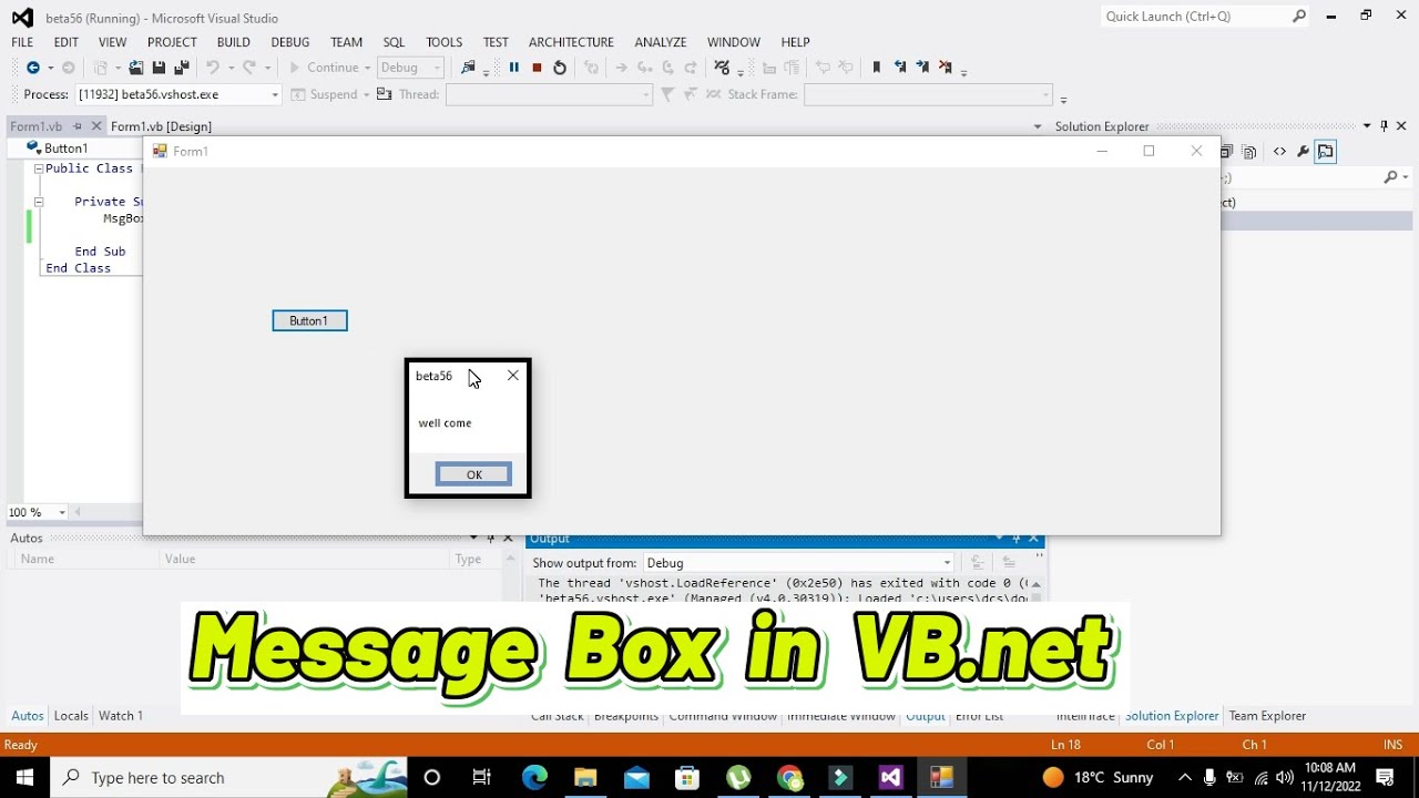 how to show message box in vb.net | simplest code for message box in visual basic.net