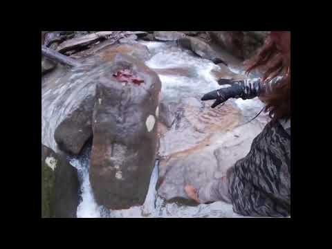 Last hike of 2018 Jackson falls