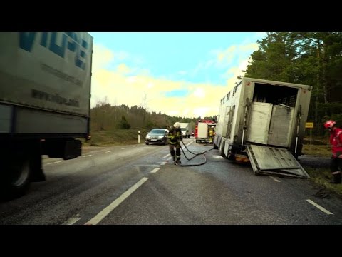 Kor döda i lastbilsbrand - Nyheterna (TV4)