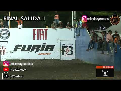 FINAL CAMPEON DE CAMPEONES INTERNACIONAL 29/11/2025