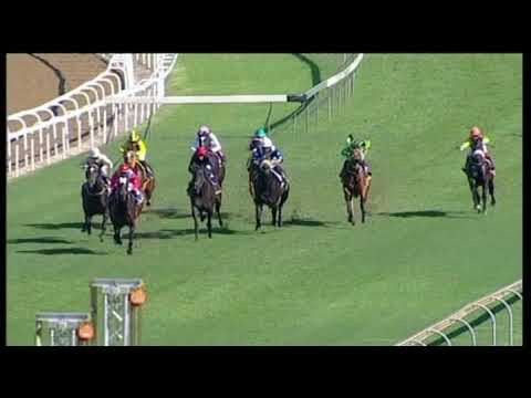20190608 Greyville express clip Race 3 won by VAN HALEN