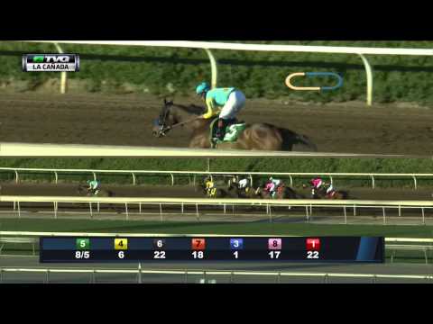 Lexie Lou Tries for Rebound in La Canada Stakes on TVG
