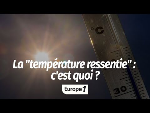 CANICULE : LA TEMPÉRATURE RESSENTIE, C'EST QUOI ?