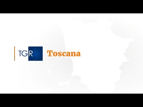 TGR TOSCANA H.19:30 -  LIVORNO, SICUREZZA PORTUALE: IL PROTOCOLLO E IL COMITATO TECNICO (31-03-2023)