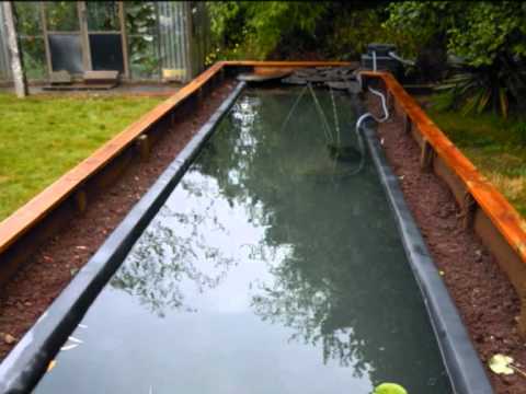 comment construire un bassin aquatique