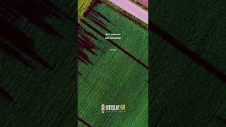 Download lagu sadar diri #shorts #liveslot168 #storywa #storywasad #quotes mp3 Download lagu sadar diri #shorts #liveslot168 #storywa #storywasad #quotes mp3