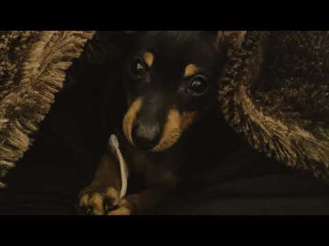 Colby's Corner - A Tribute