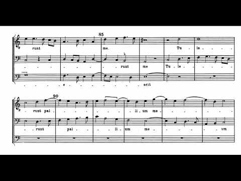 Busnois: Anima mea liquefacta est - Binchois Consort