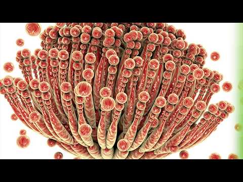 Reč struke ep. 115 28.09.2017. NAJAVA