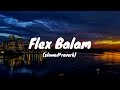 Flex Balam Yo Yo Honey Singh Slowed Reverb