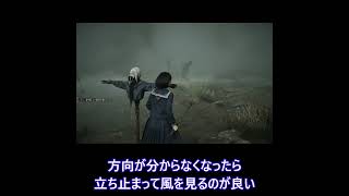 田んぼの謎解き豆知識　#サイレントヒルf #silenthillf #shorts