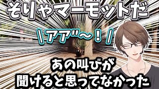 【2025/7/31】ビーバーの鳴き声を聞いてテンションが上がる加賀美ハヤト