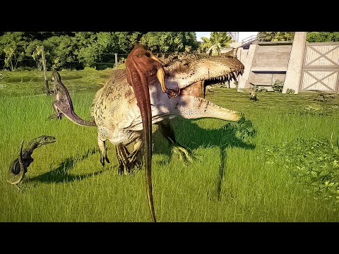 RAPTORS PACK HUNTING vs LARGE CARNIVORE DINOSAURS - JURASSIC WORLD EVOLUTION 2
