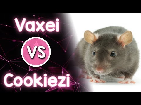 🇺🇸 Vaxei vs Cookiezi 🇰🇷 Jerma - Rat's Birthday Mixtape (mithew) [We Are the Rats]
