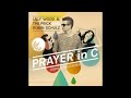 Prayer In C Lily Wood And The Prick And Robin Schulz High Pitched Sped Up