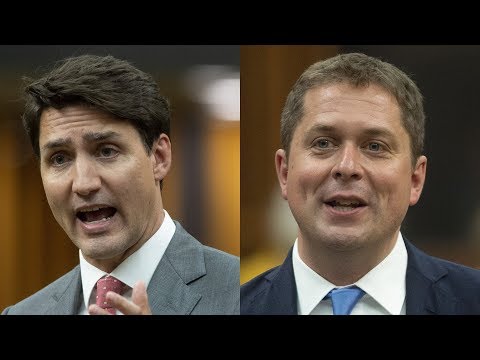 Question Period: MPs debate Trans Mountain Pipeline plans — June 19, 2019