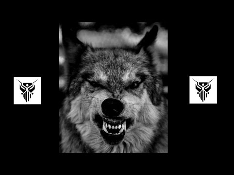 Pyrut - DoedelZak [Gaara Remix]