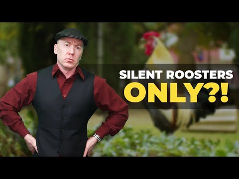 Exploring Strange Laws: North Carolina's Anti-Rooster Alarm