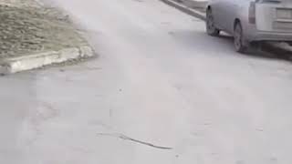 DEITA.RU Девочка на глазах матери провалилась в колодец