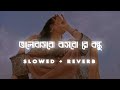 Bhalobasbo Basbo Re (ভালোবাসবো বাসবো রে)-Habib Wahid [Slowed+Reverb]Lofi 2022💜🦋