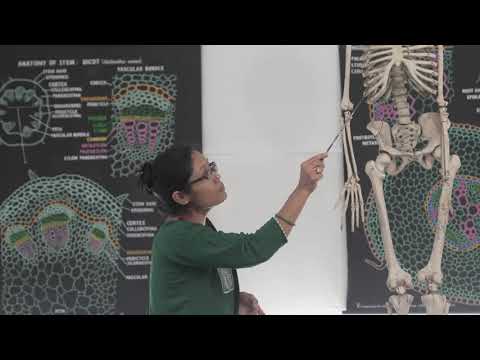 St. Lawrence College video