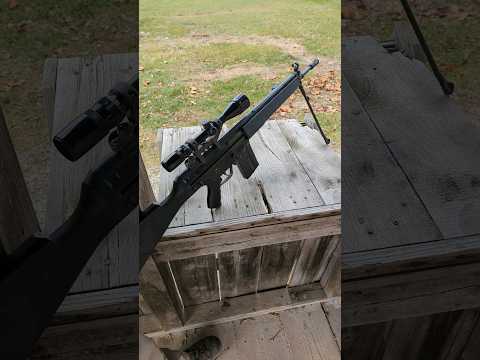 Heckler & Koch G3SG/1