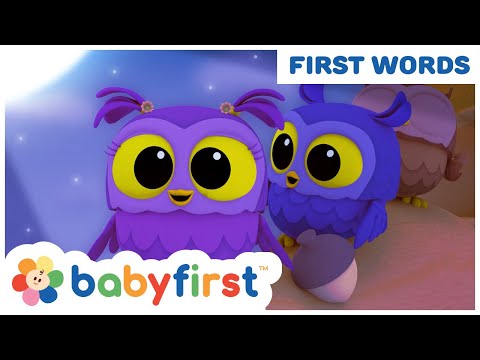 New Episode - Hoot, Scoot & What | Learn Vocabulary | Animals & Vehicles for Babies | BabyFirst TV