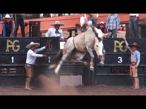 Mares of Power - The Colorados