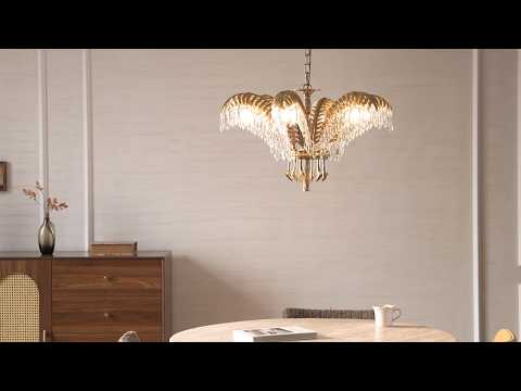 Video 1